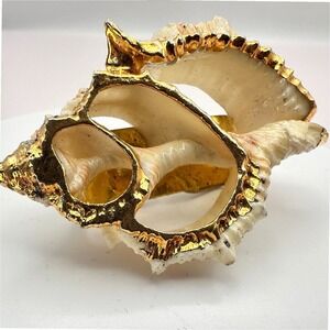 Vintage Y2K Center Cut Frilled Frog Seashell Tie Clip Gold‎ Tone Trim Statement